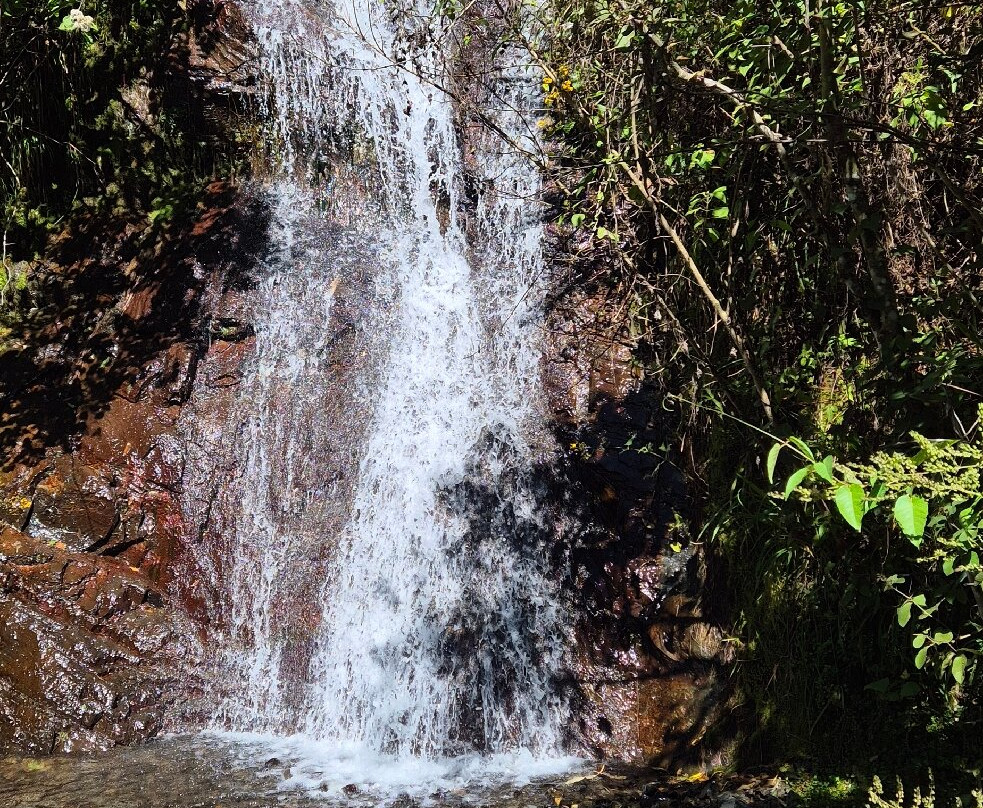 El Choro Trail-拉巴斯必去景点