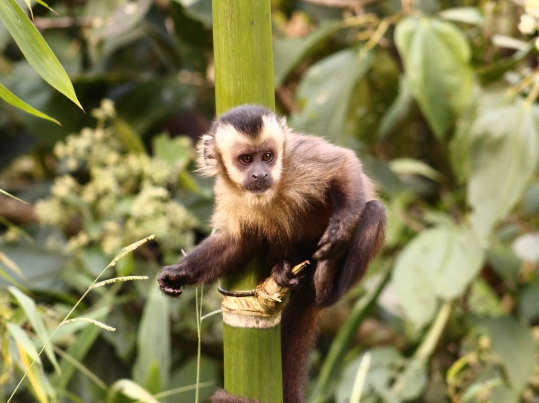 Manu Wildlife Tours-库斯科必去景点