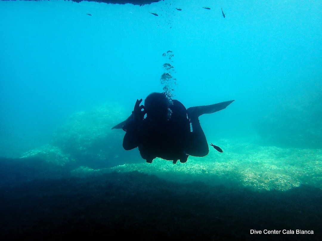 Dive Center Cala Blanca-卡拉布兰卡必去景点
