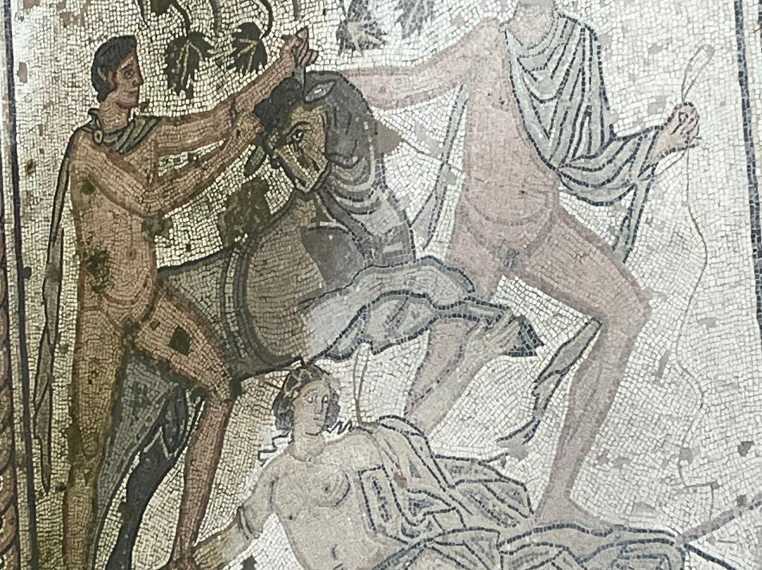 Floor mosaic The Punishment of Dirce-普拉必去景点