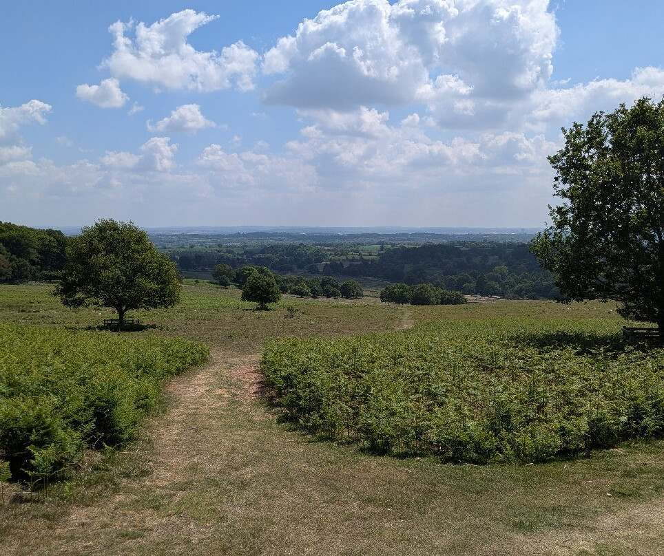 布拉德盖特公园-Newtown Linford必去景点