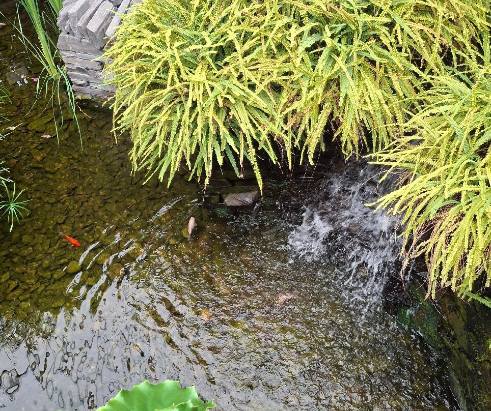 Jephsons Glasshouse-皇家利明顿温泉必去景点