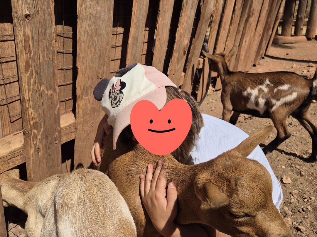 ZooParc du Cannet des Maures-Le Cannet-des-Maures必去景点