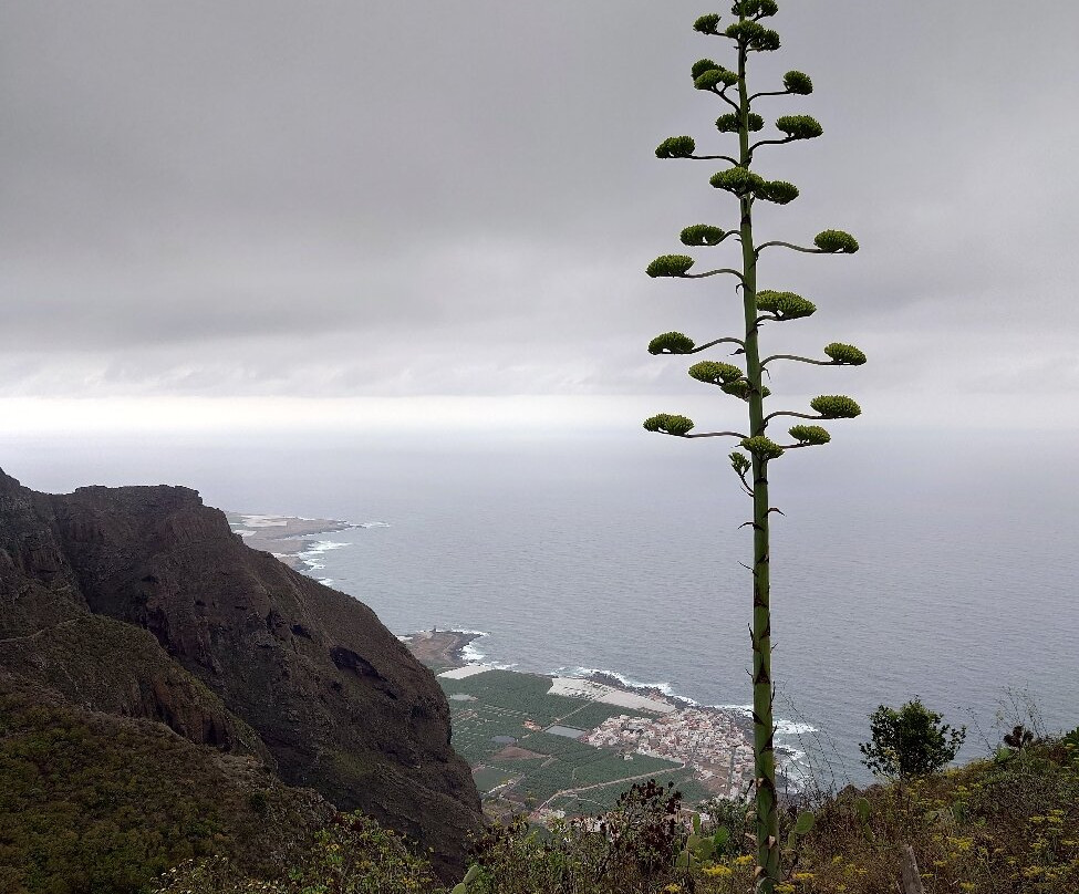 Mirador Lomo Molino By El Mortero-El Tanque必去景点