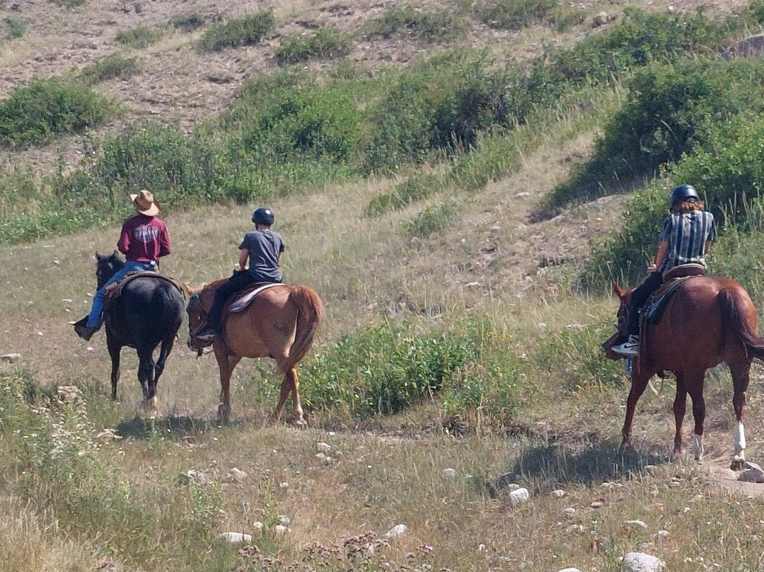 Terry Bison Ranch Resort-夏延必去景点