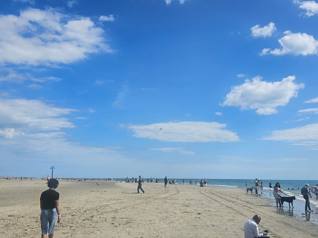 West Wittering Beach-West Wittering必去景点