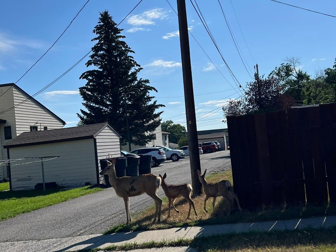 Baymont by Wyndham Helena主图