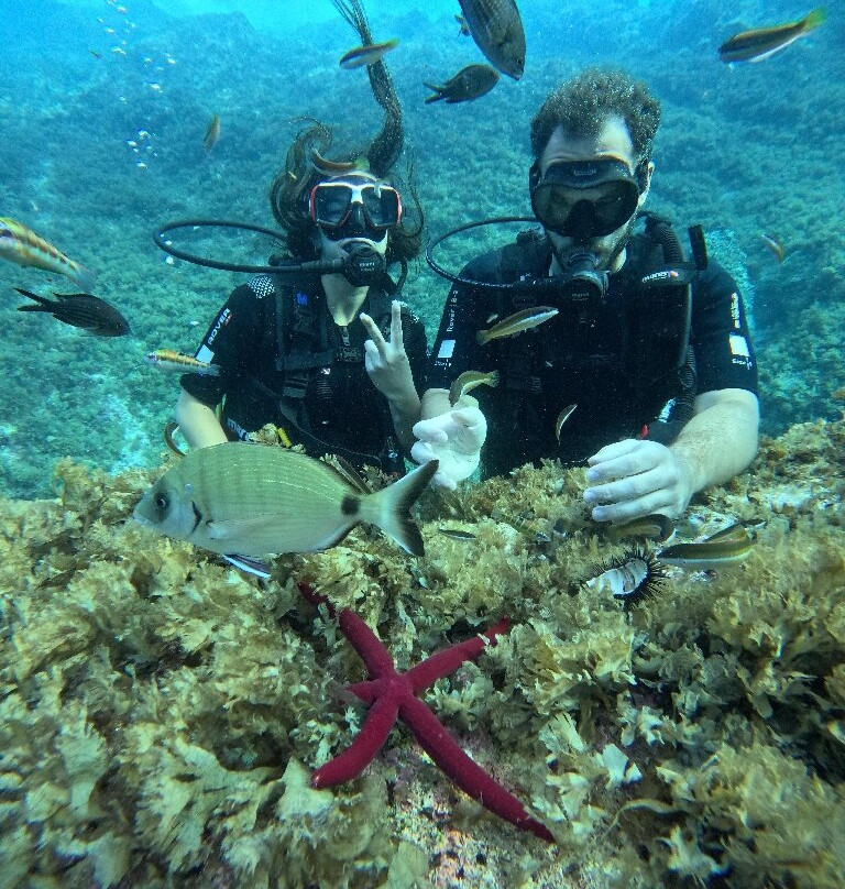 Manta Diving Centre-Komiza必去景点