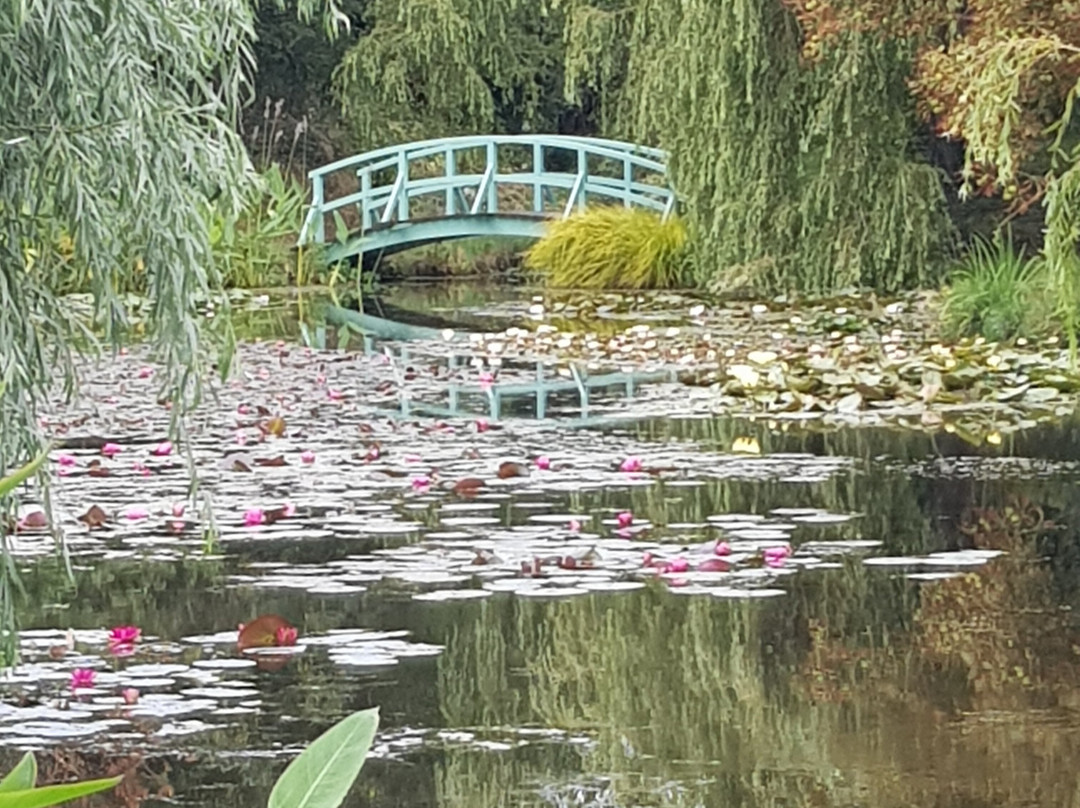 Bennetts Water Gardens-Chickerell必去景点