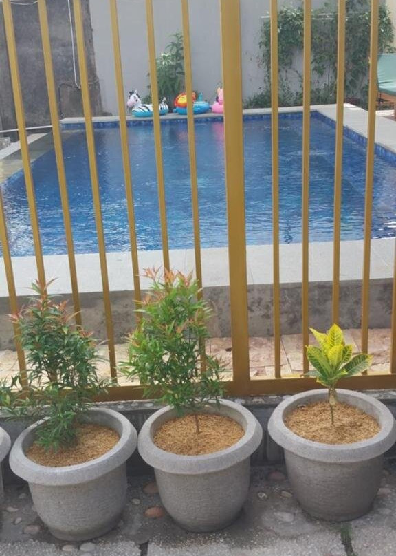 KJ Inn Homestay Senggigi