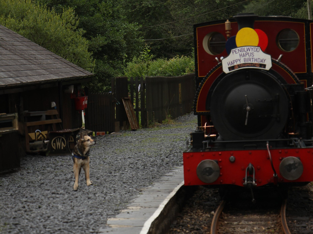 Corris Railway-Corris必去景点