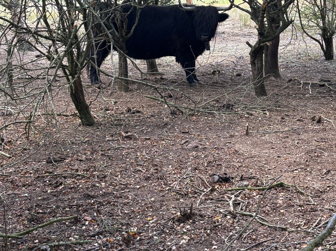 Summer Leys Nature Reserve-Wollaston必去景点