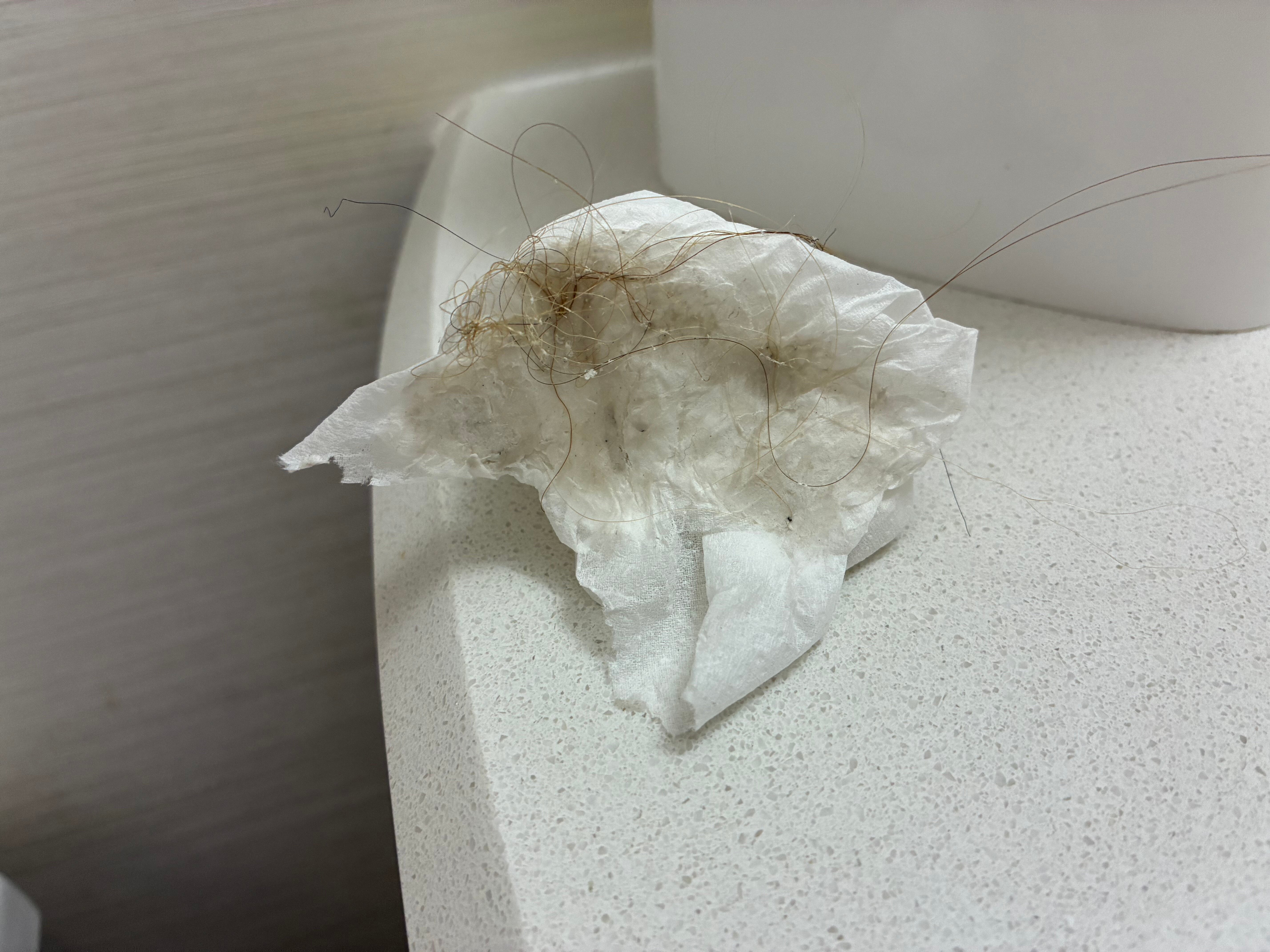 Hampton Inn Philadelphia/Plymouth Meeting-客卧