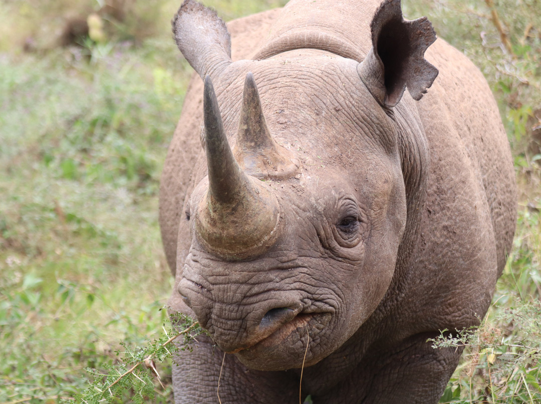 Mkomazi National Park-Gonja必去景点
