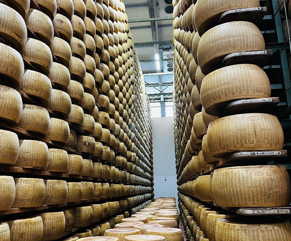 Azienda Agricola Moscattini-Formigine必去景点