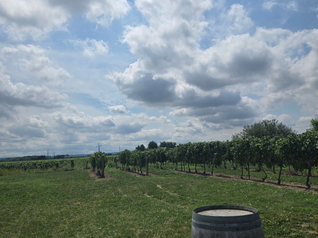 Lakeview Wine Co.-滨湖尼亚加拉必去景点