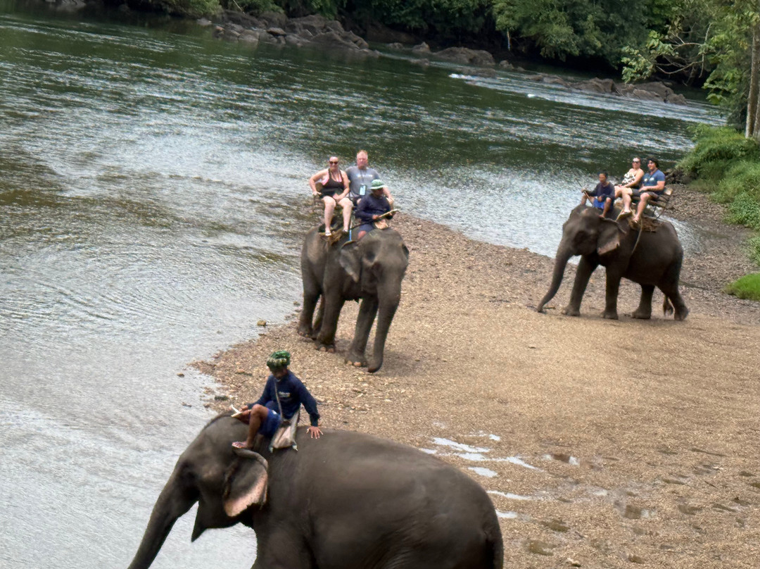 Taweechai Elephant Camp-北碧必去景点
