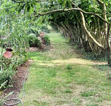 Le Jardin Des Osmanthes-La Bouillie必去景点