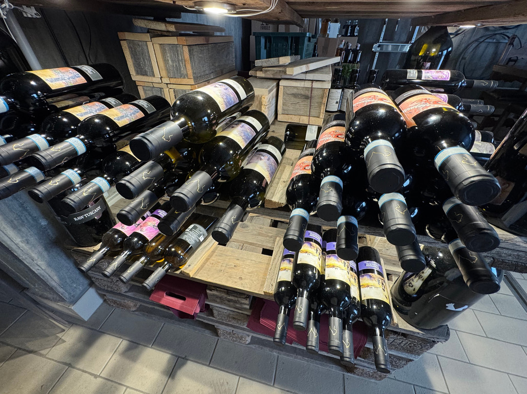 Podere Della Bruciata Winery-蒙特普尔恰诺必去景点