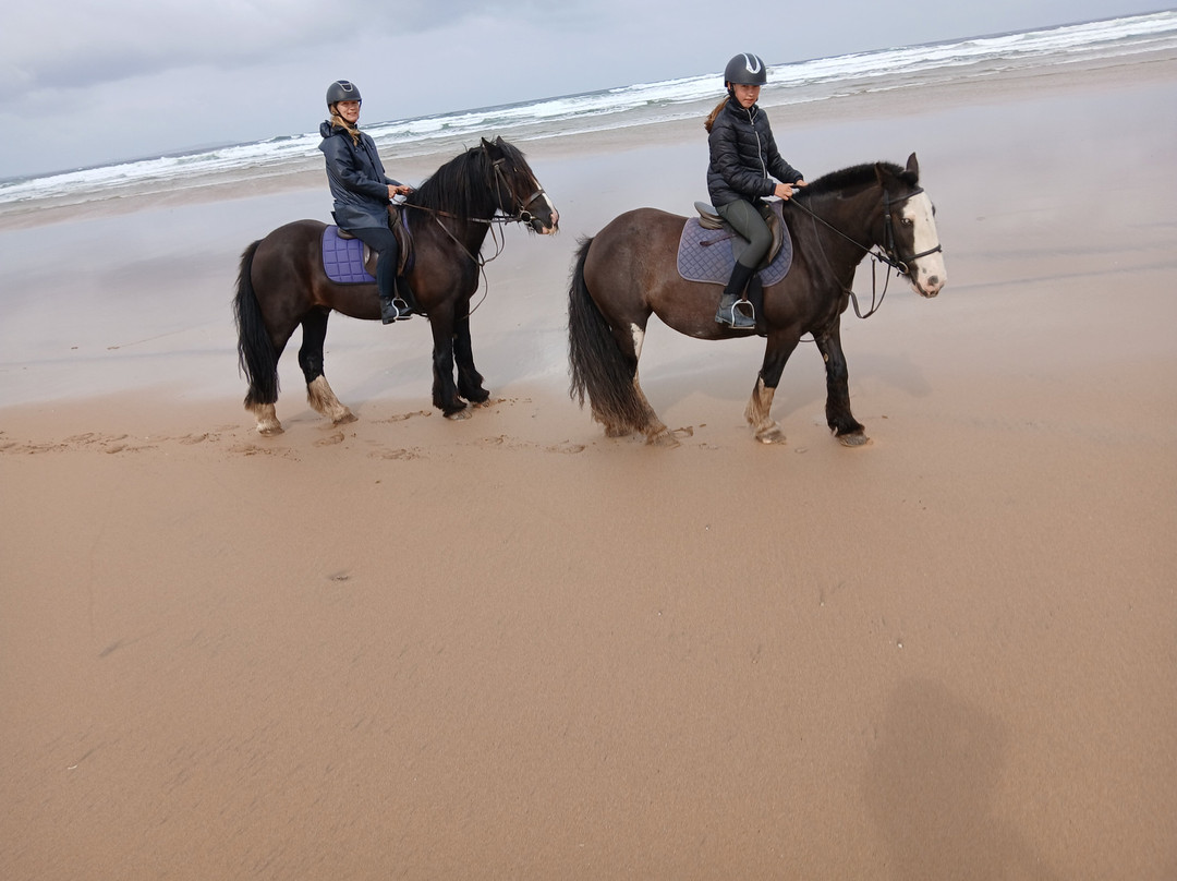 Donegal Equestrian Centre-Bundoran必去景点