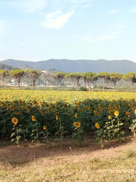 Parco delle Cascine di Tavola-普拉托必去景点