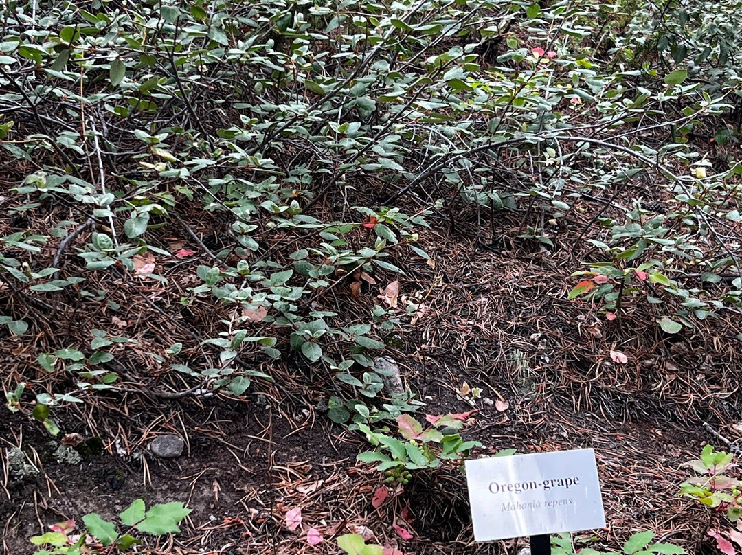 Leadville National Fish Hatchery-Leadville必去景点