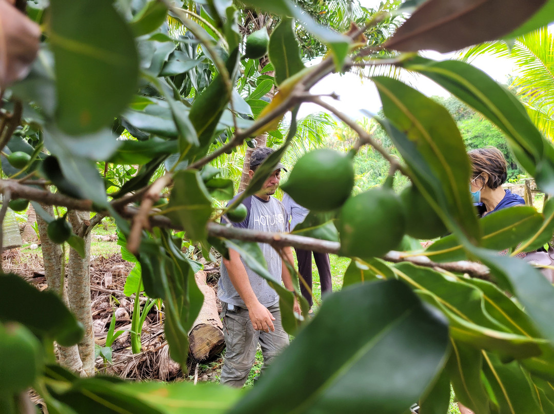 Bitasyon Bio-Saint-Philippe必去景点