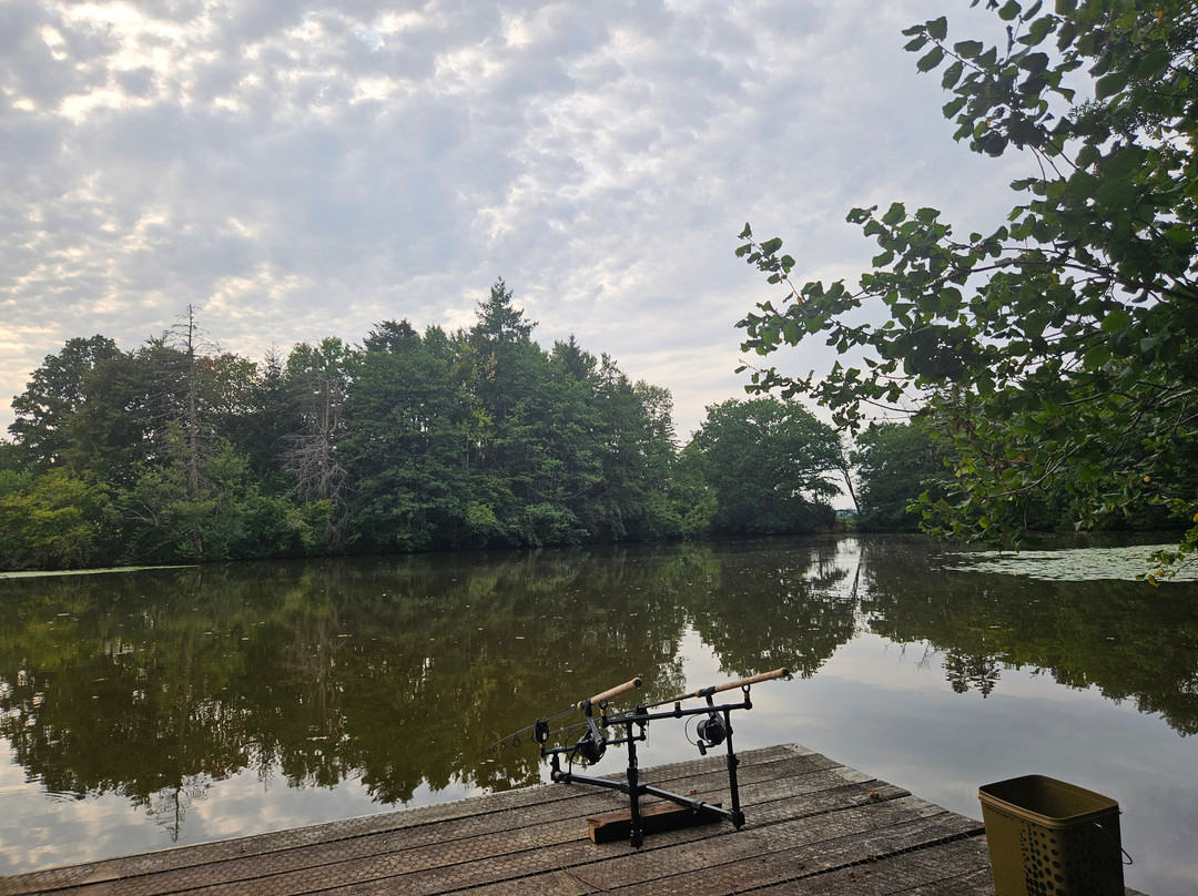 New Mill Carp Fisheries-Dompierre必去景点