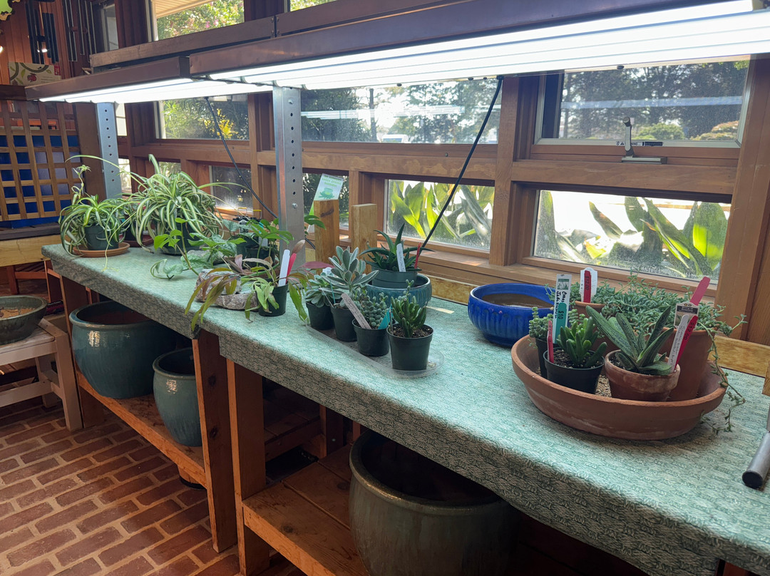 Green Spring Gardens-亚历山德里亚必去景点