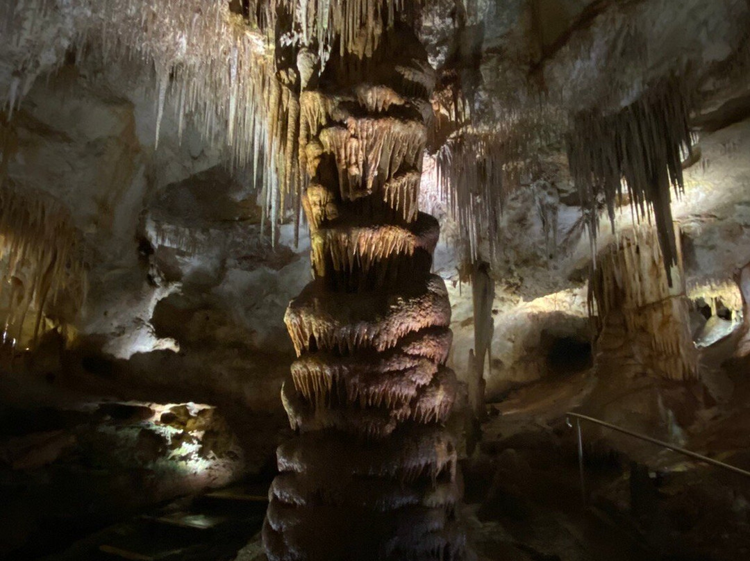 Tantanoola Caves Conservation Park-Tantanoola必去景点