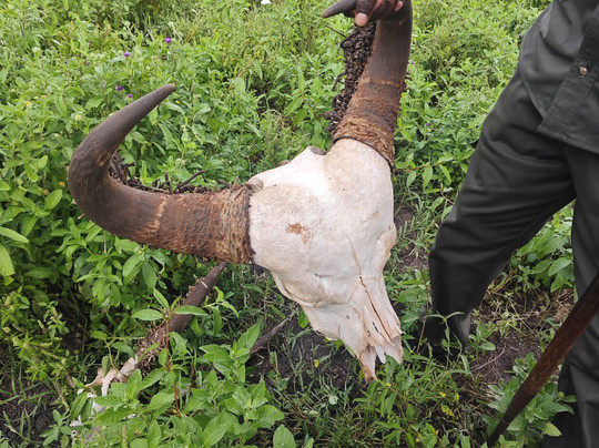 Sule Kenya Safari-瓦塔木必去景点