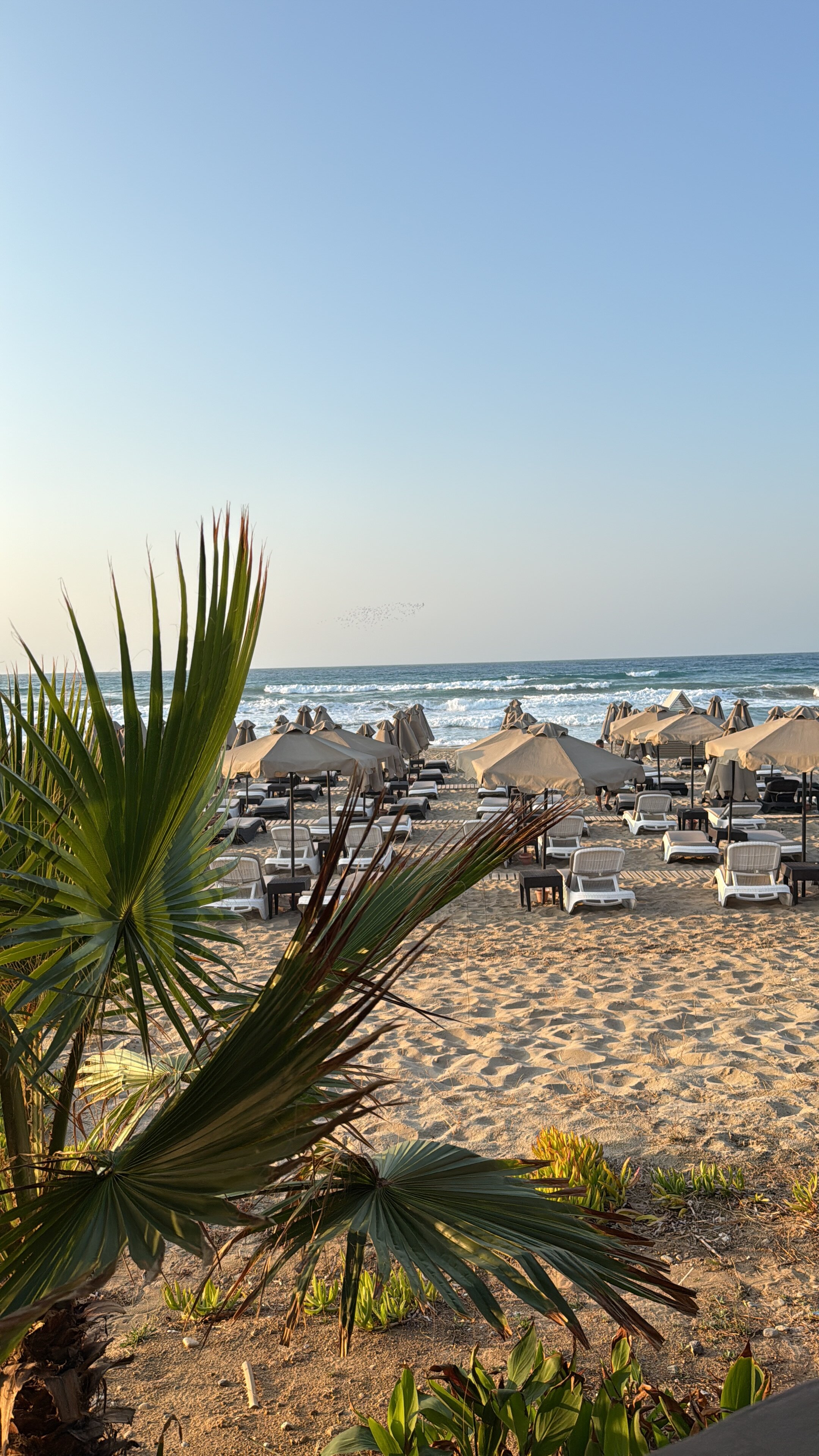 Eliros Mare Hotel-官方