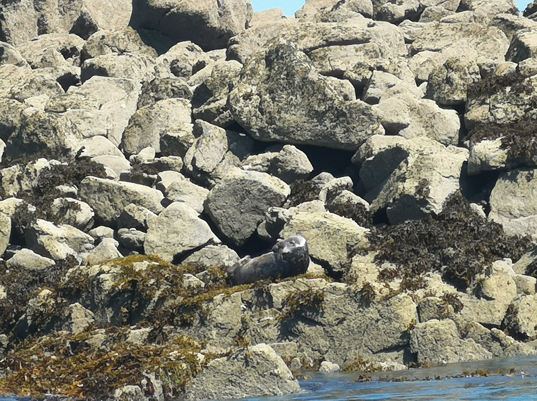 Armor Loisirs Nautiques-Binic必去景点