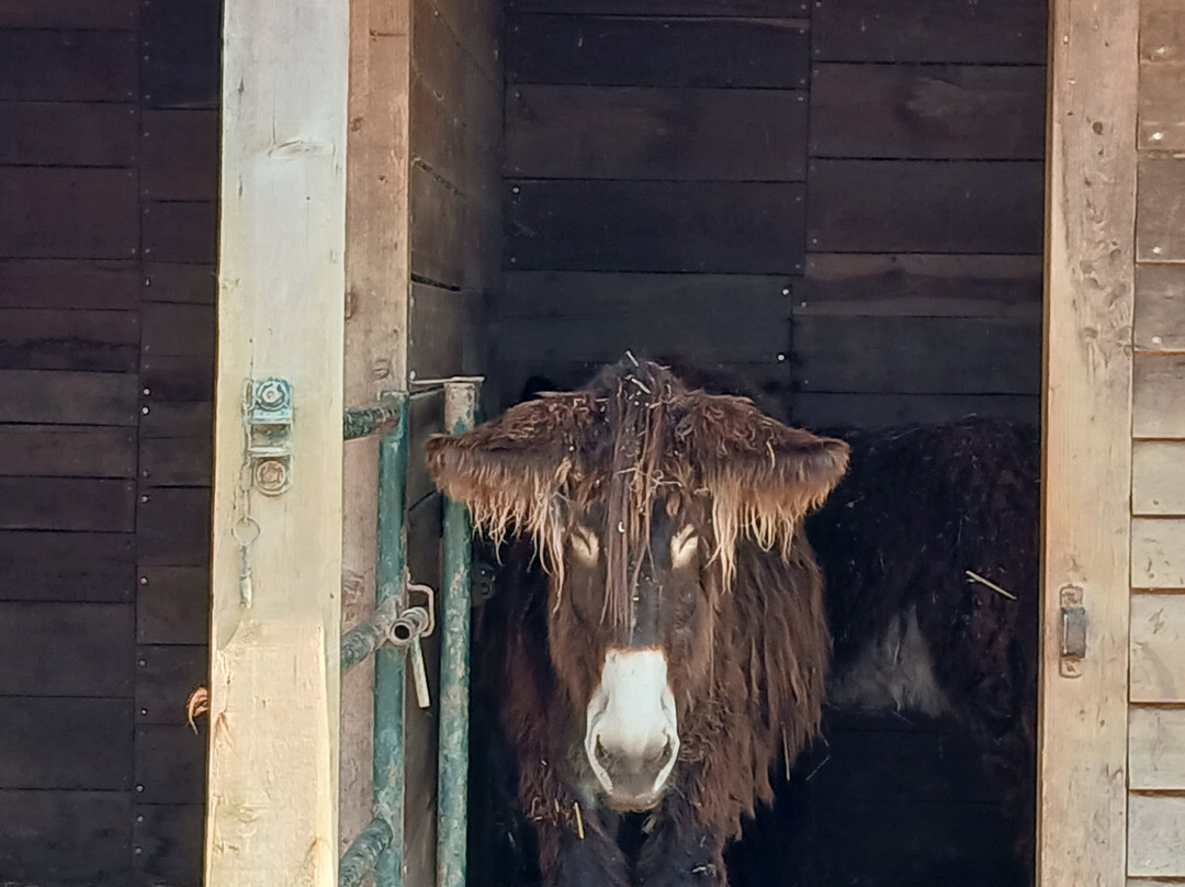Zoodyssée-Villiers-en-Bois必去景点