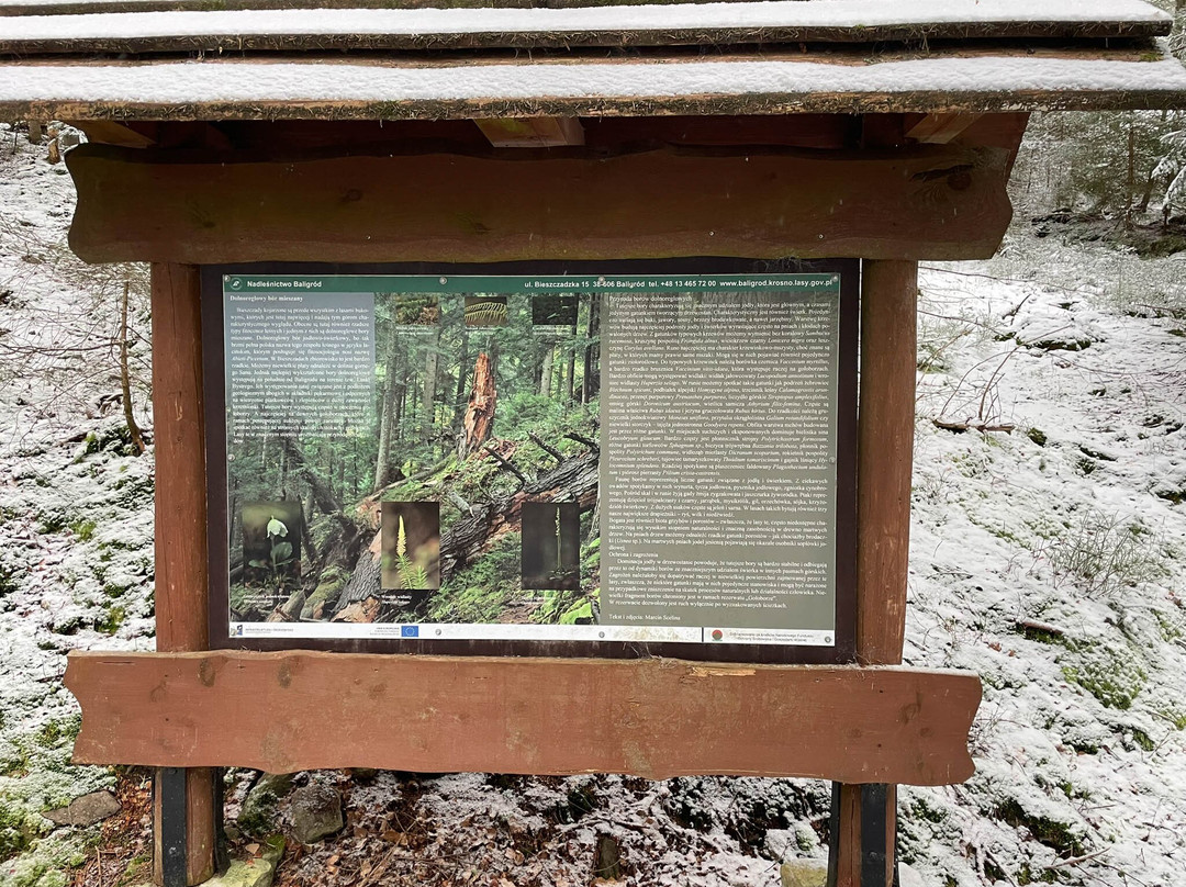 Dolina Rabskiego Potoku-Baligrod必去景点