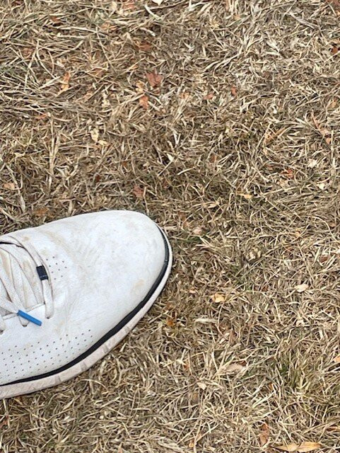 St. Pierre Golf & Country Club-切普斯托必去景点