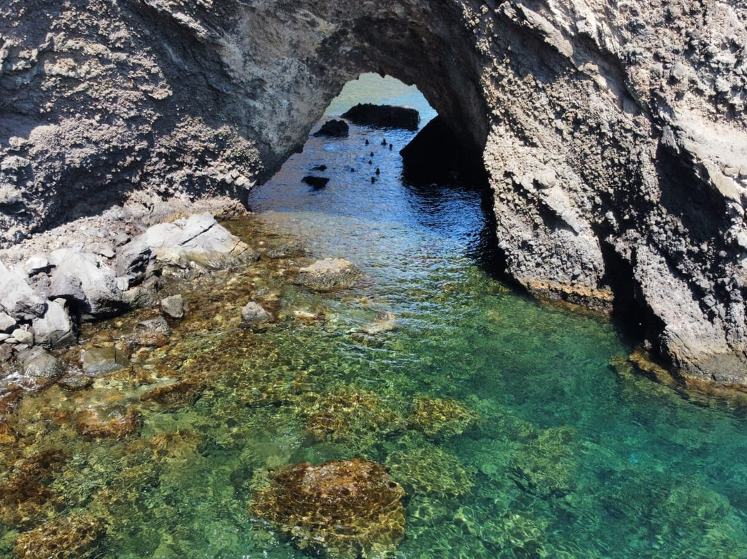 Associazione PFM-Patti必去景点