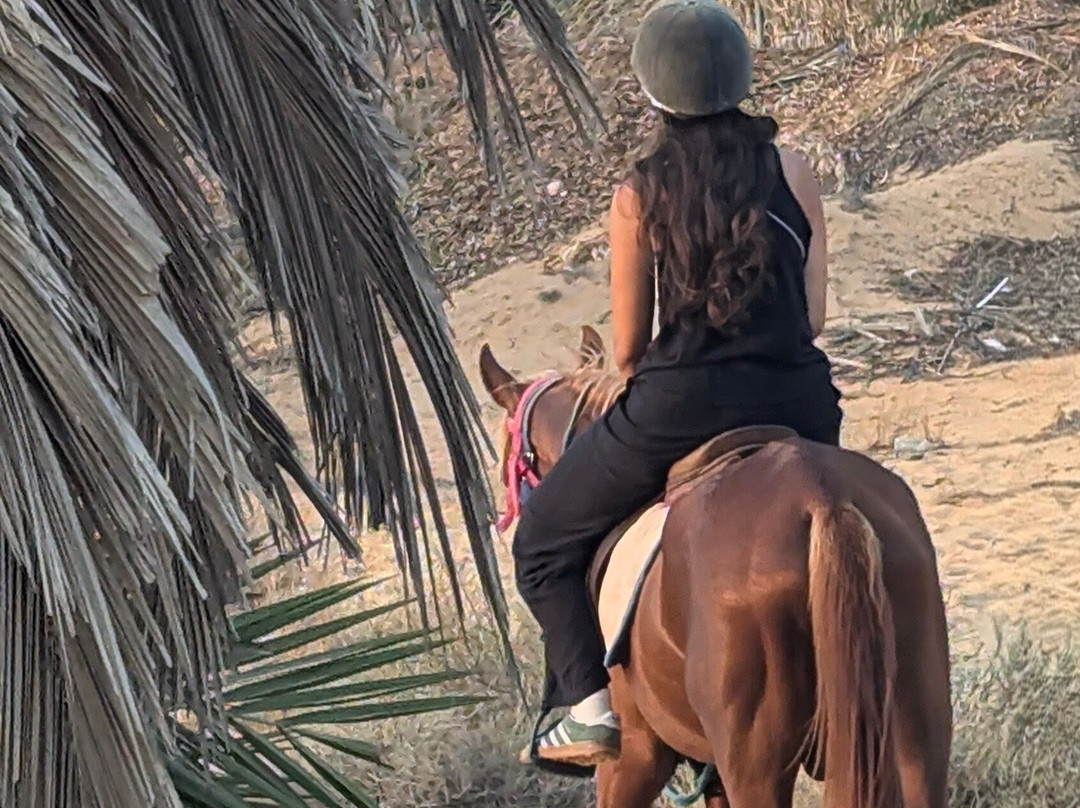 Ranch Yassmina Djerba La Douce-米栋必去景点