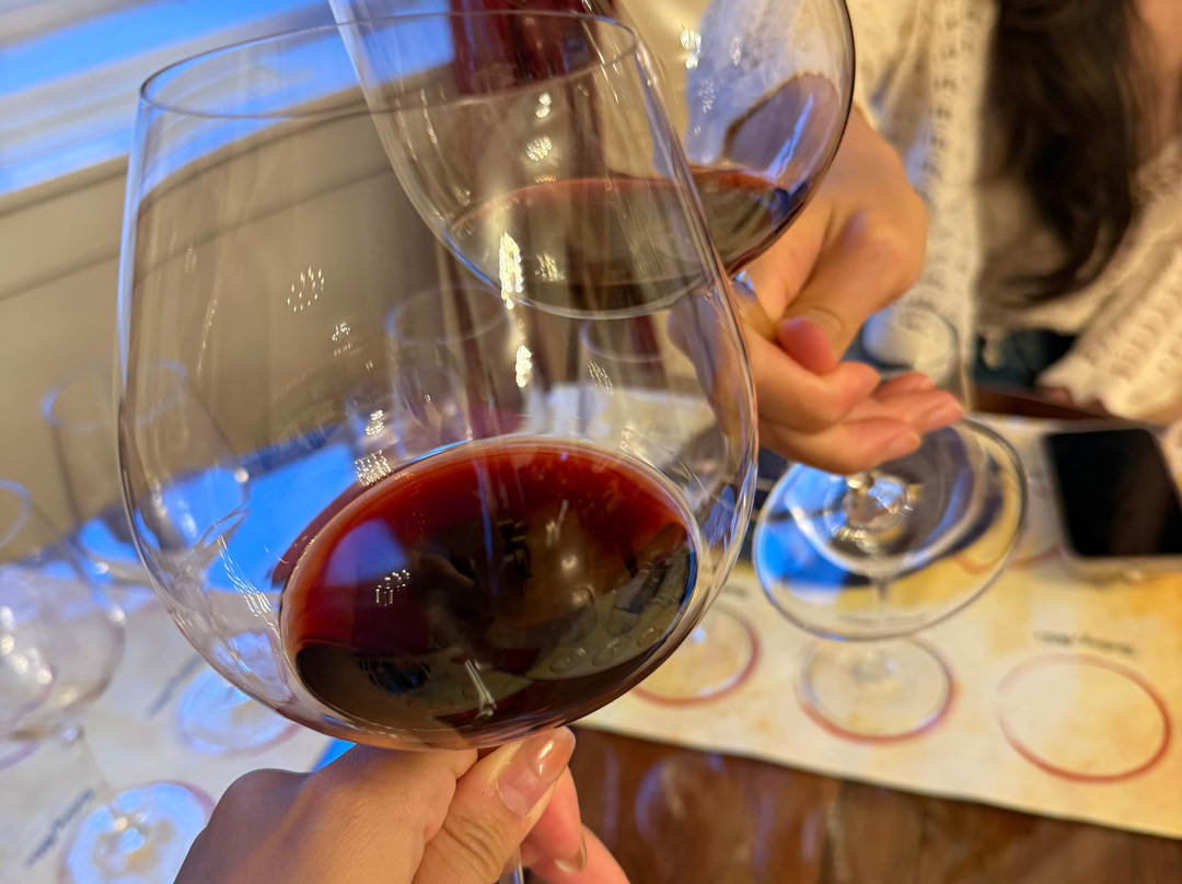 Wine Museum Dubrovnik-杜布罗夫尼克必去景点