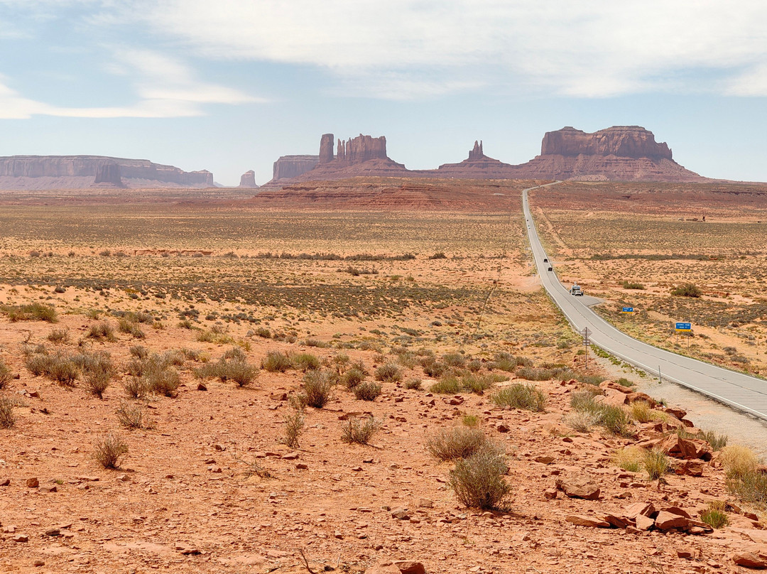 Forrest Gump Point-梅西肯哈特必去景点