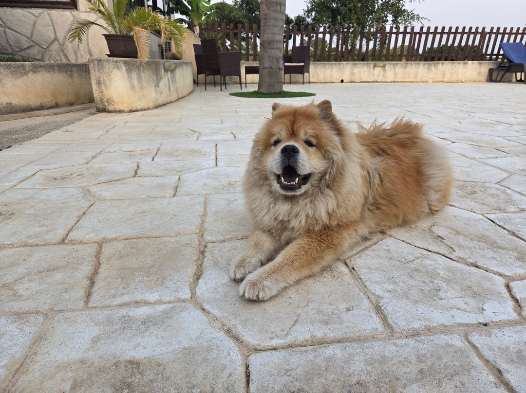 Agriturismo Le Zarafe主图