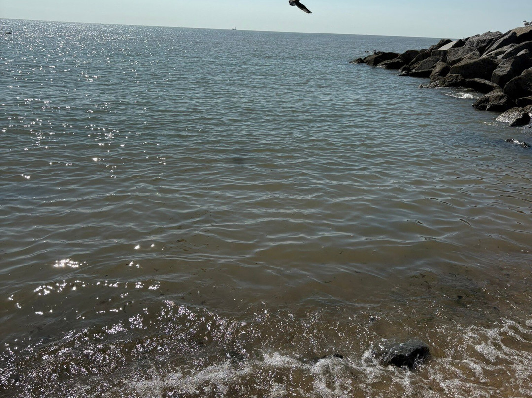 The Fludyers Hotel主图