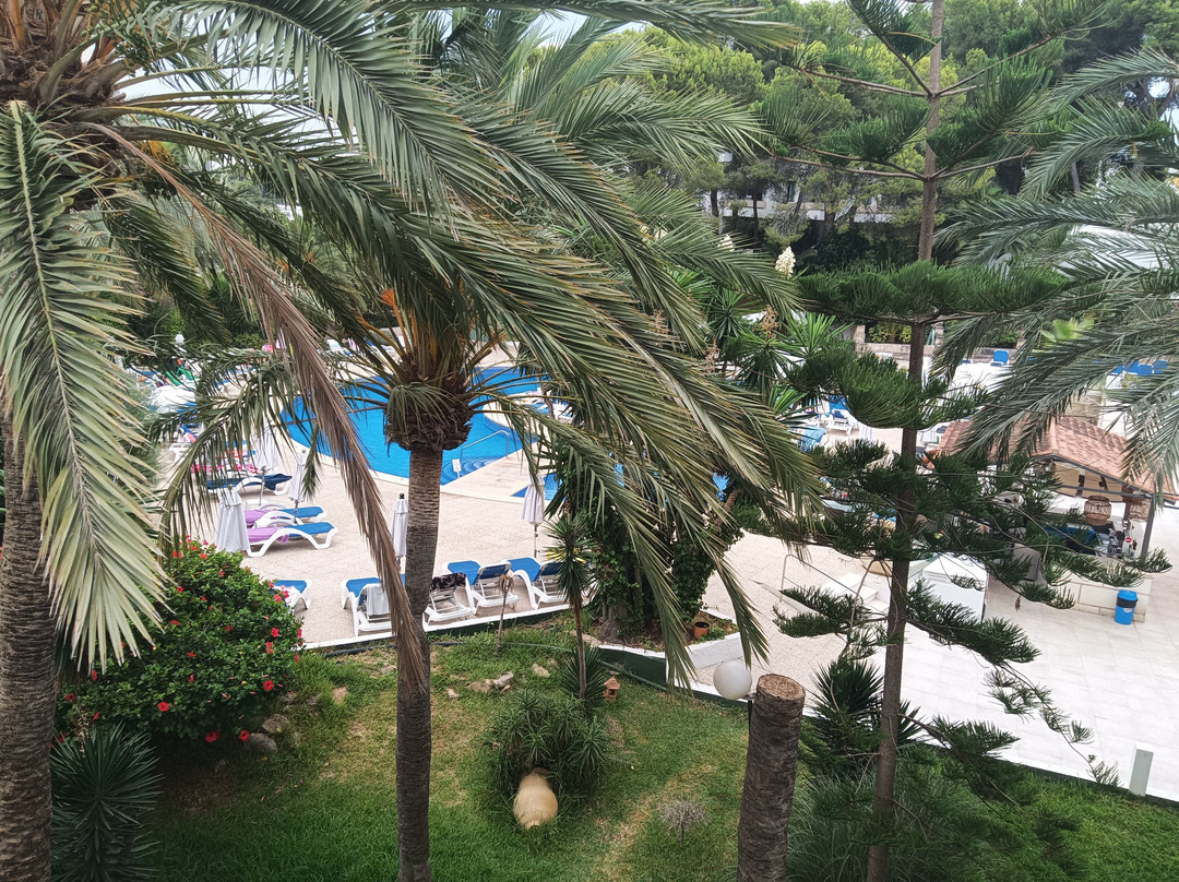 Sol Lunamar Palmanova Apartamentos - Adults only主图