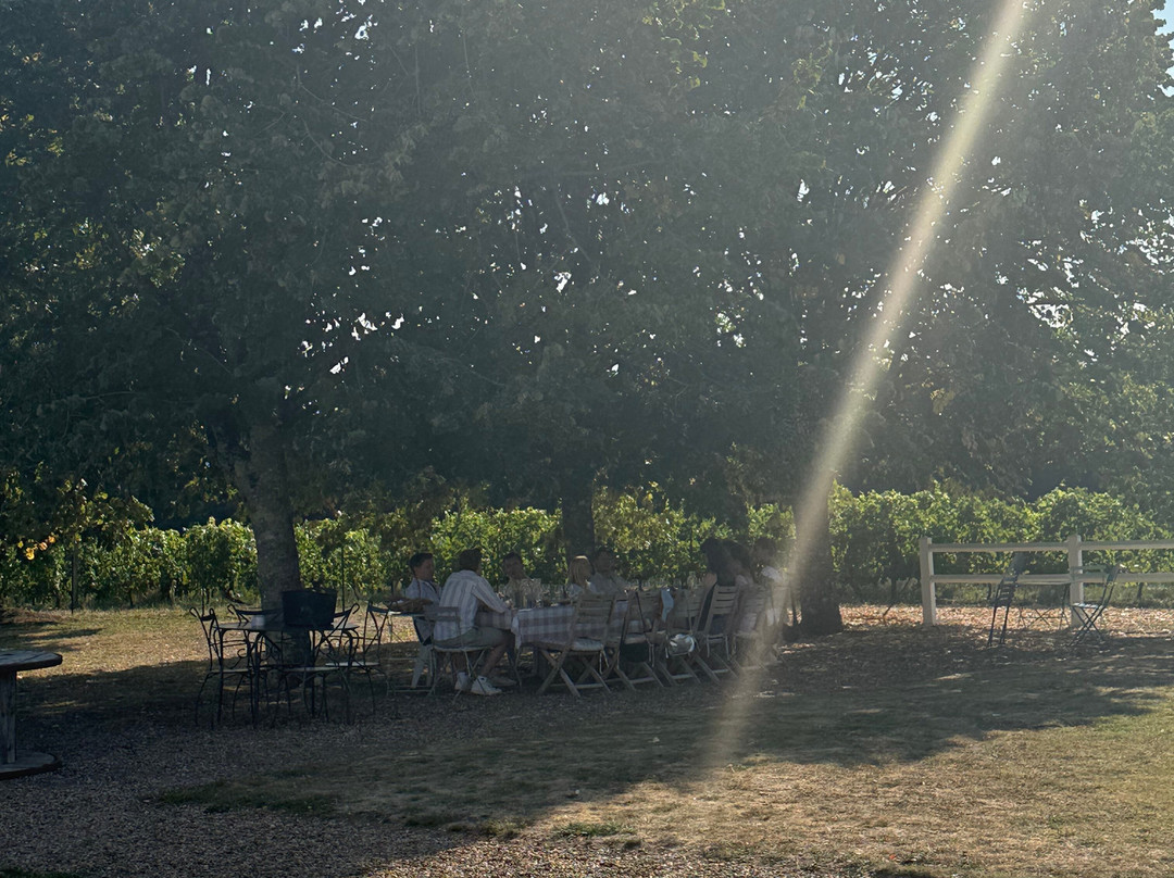 Chateau De L'aulée-阿泽勒丽多城堡必去景点