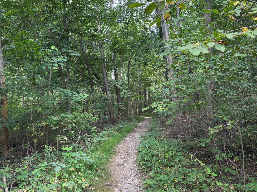 Natural Bridge State Park-Leland必去景点