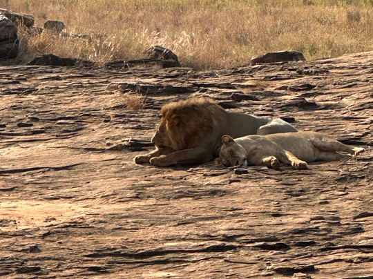Viaggia in Kenya con Azzurro-瓦塔木必去景点