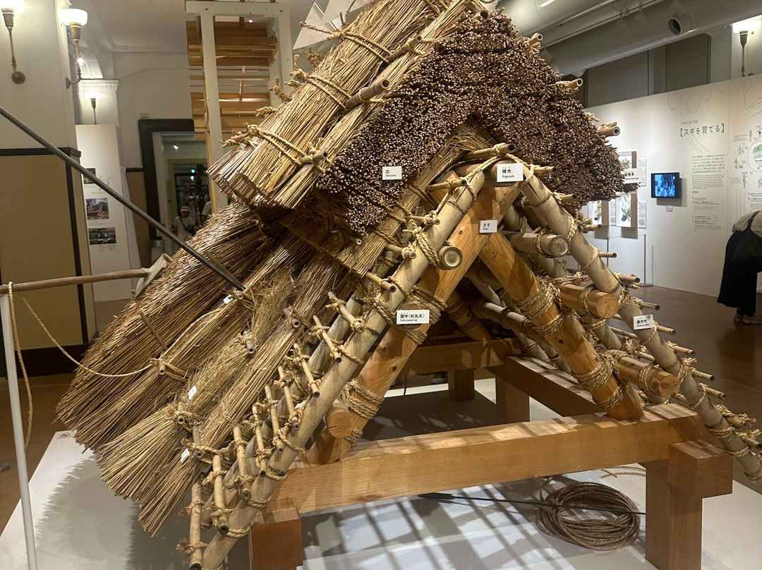 Blue Whale Full Size Model-Uenokoen必去景点