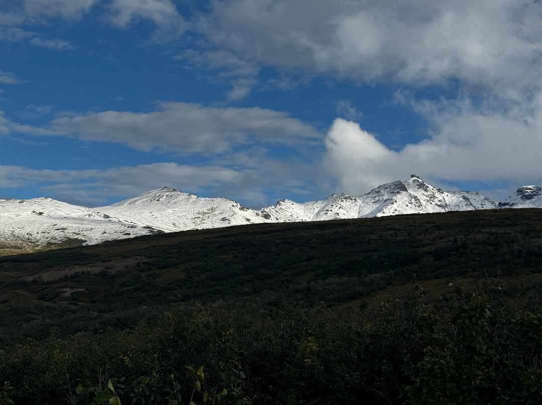 Black Diamond ATV Tours-德纳利国家公园和自然保护区必去景点