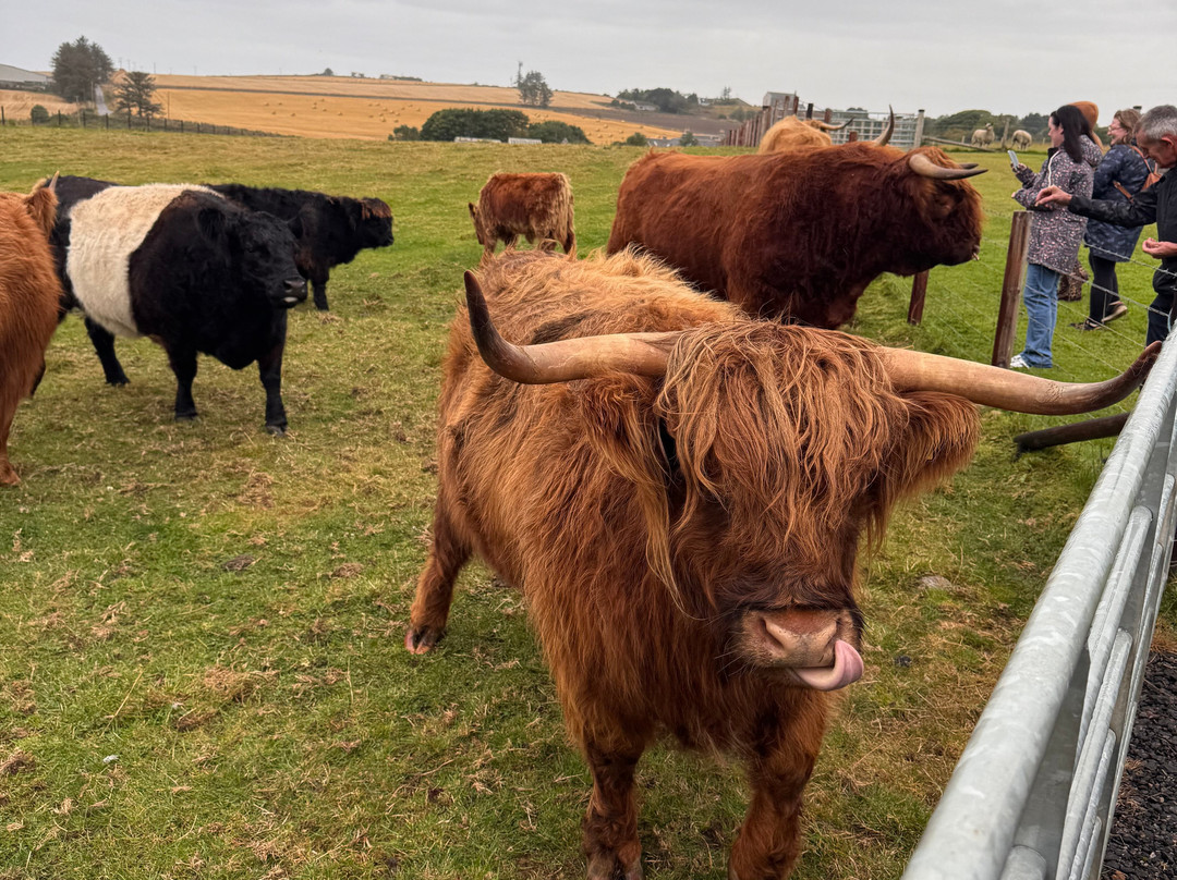Farm Stop-Portlethen必去景点