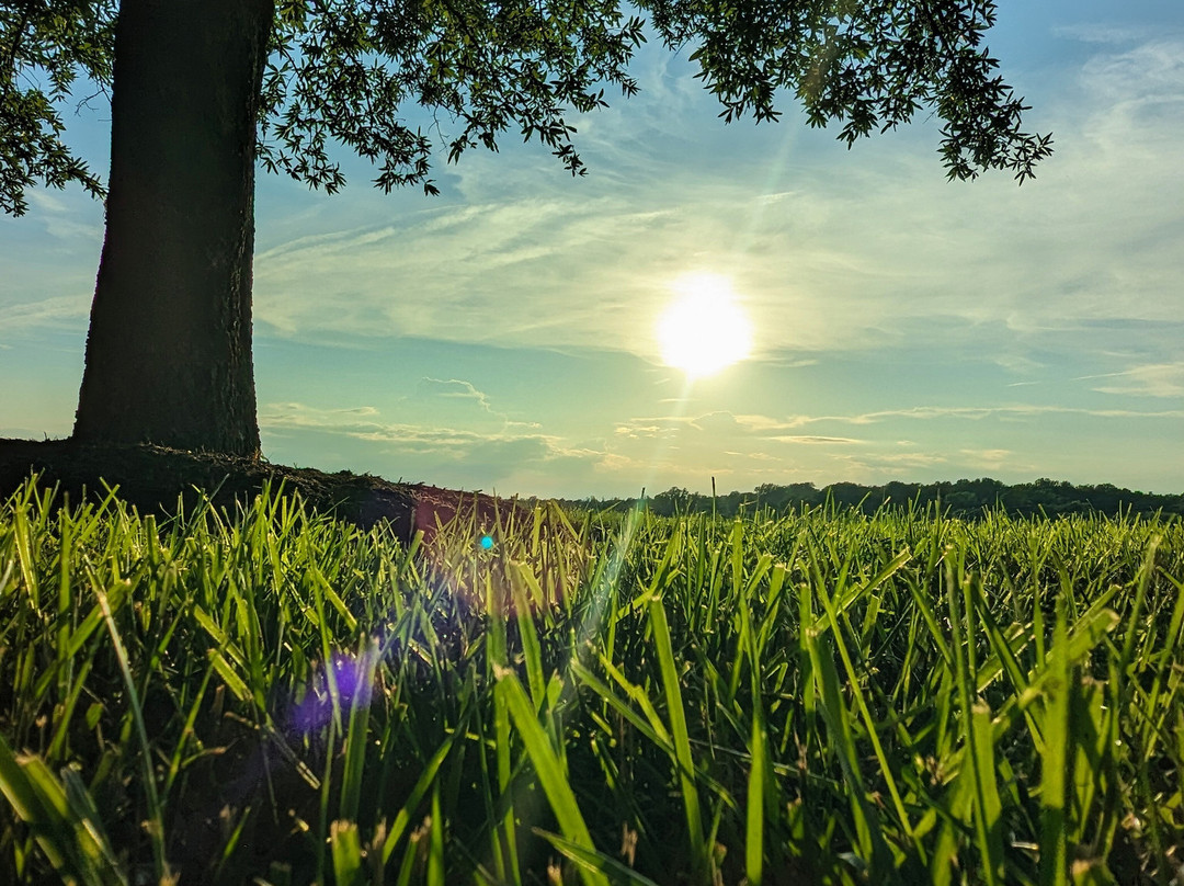 Round Hill Inn主图